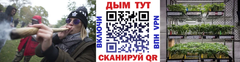 Канабис SATIVA & INDICA blacksprut вход Староминская